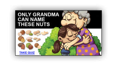 Can you name all these nuts?