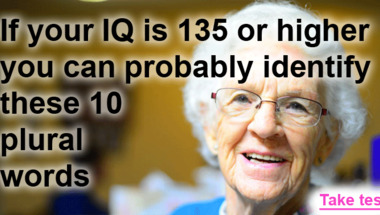 Quiz : Do you know your plurals?