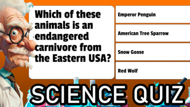 Science and nature quiz
