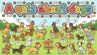 Canine Curiosities: 10 Fun Dog Trivia Questions