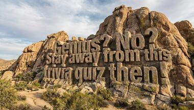 10-question pop quiz challenge