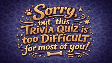 Ten-question brain teaser bonanza